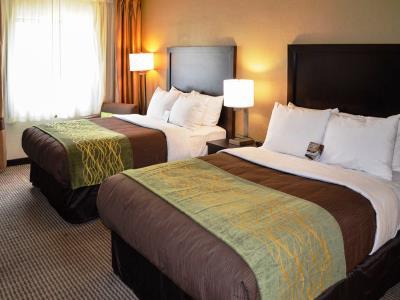 Comfort Downtown 2* Detroit